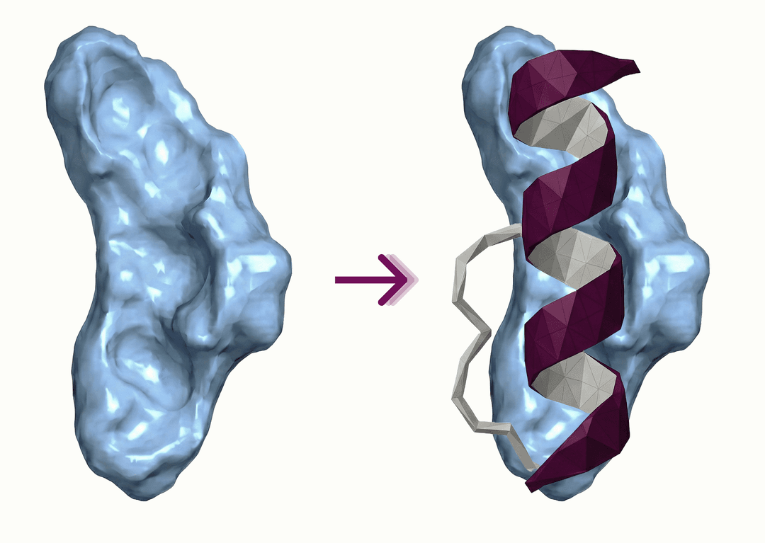 D-peptide design visualization