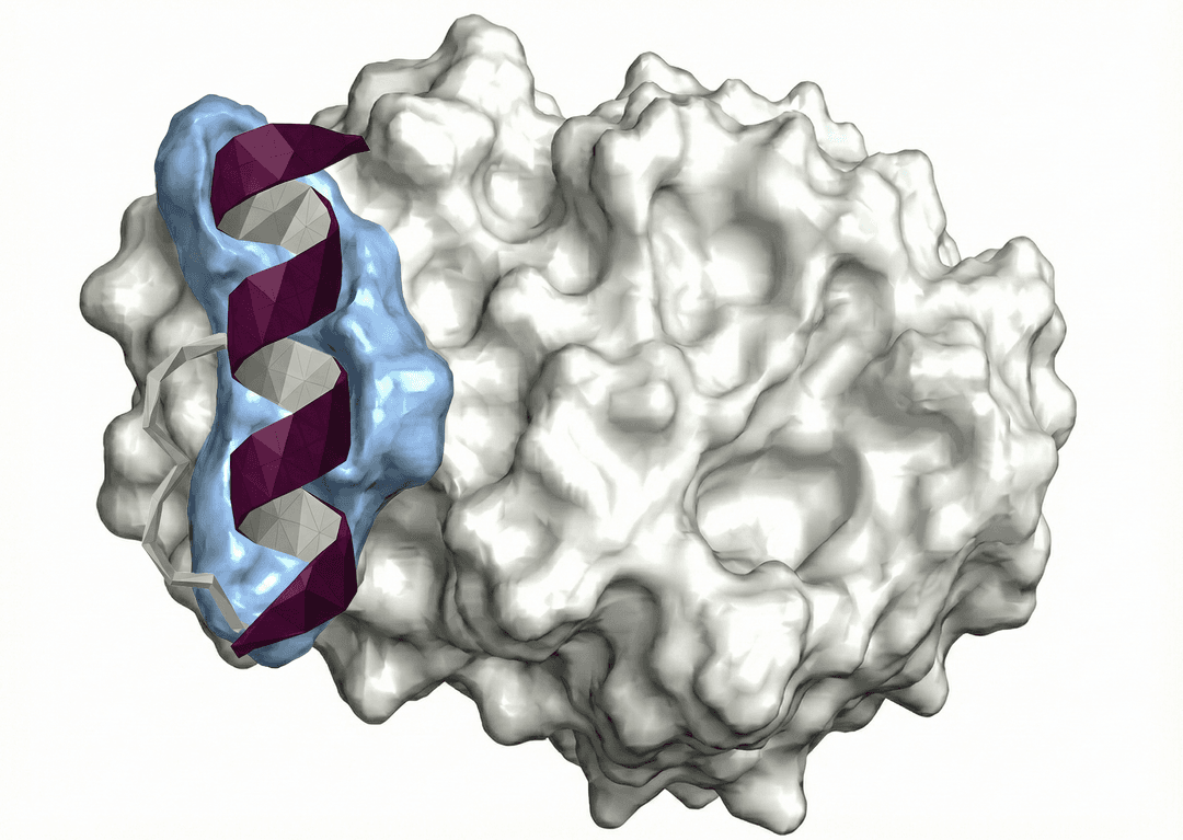 Oral biologics visualization